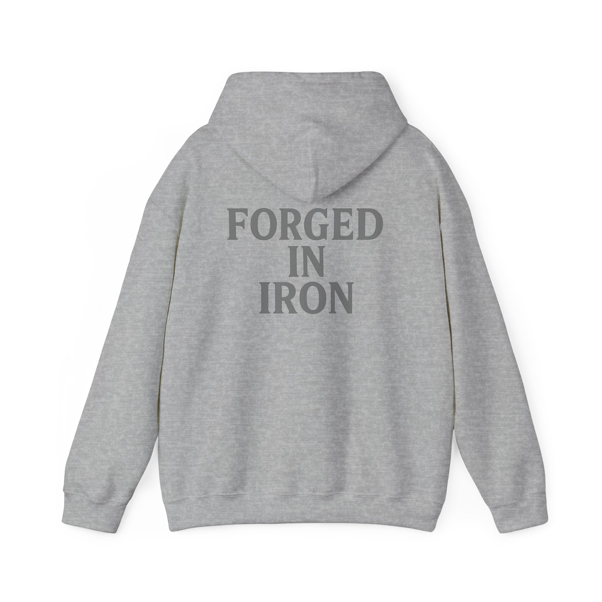 SILA IRON Fitness Hoodie
