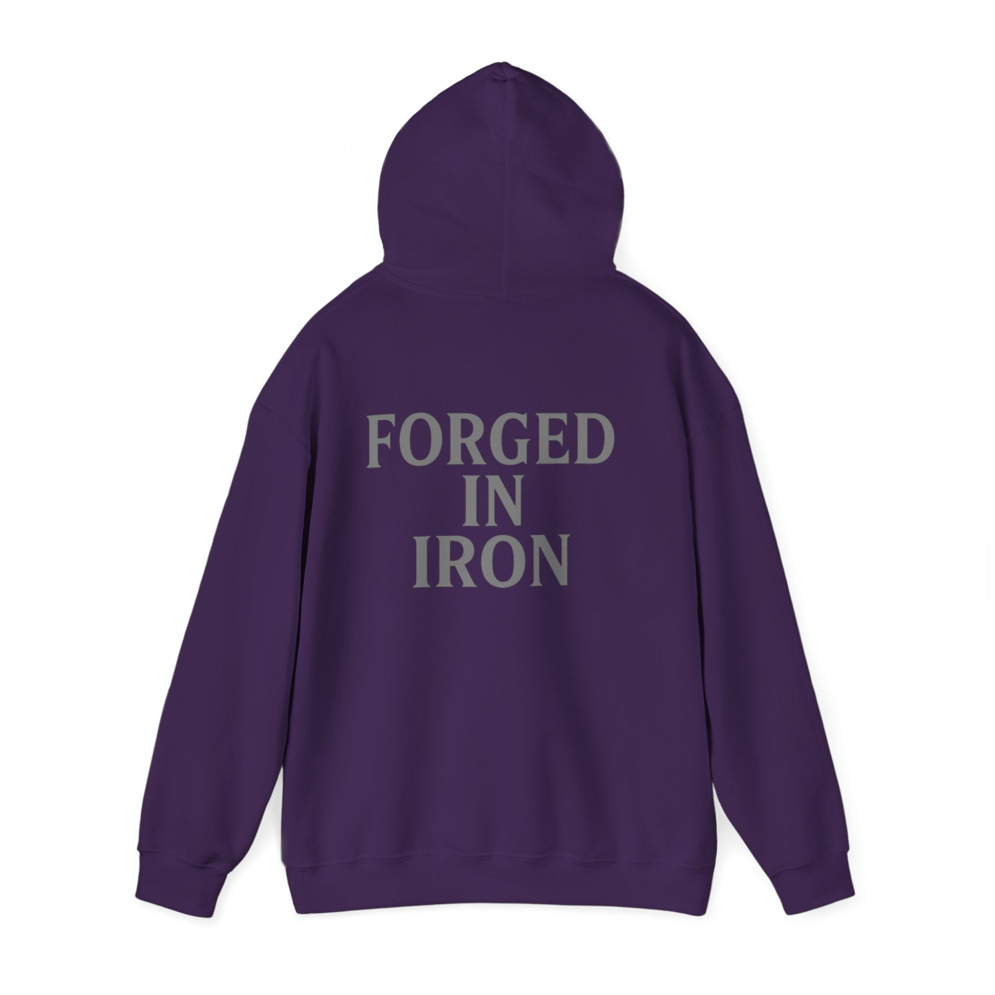 SILA IRON Fitness Hoodie