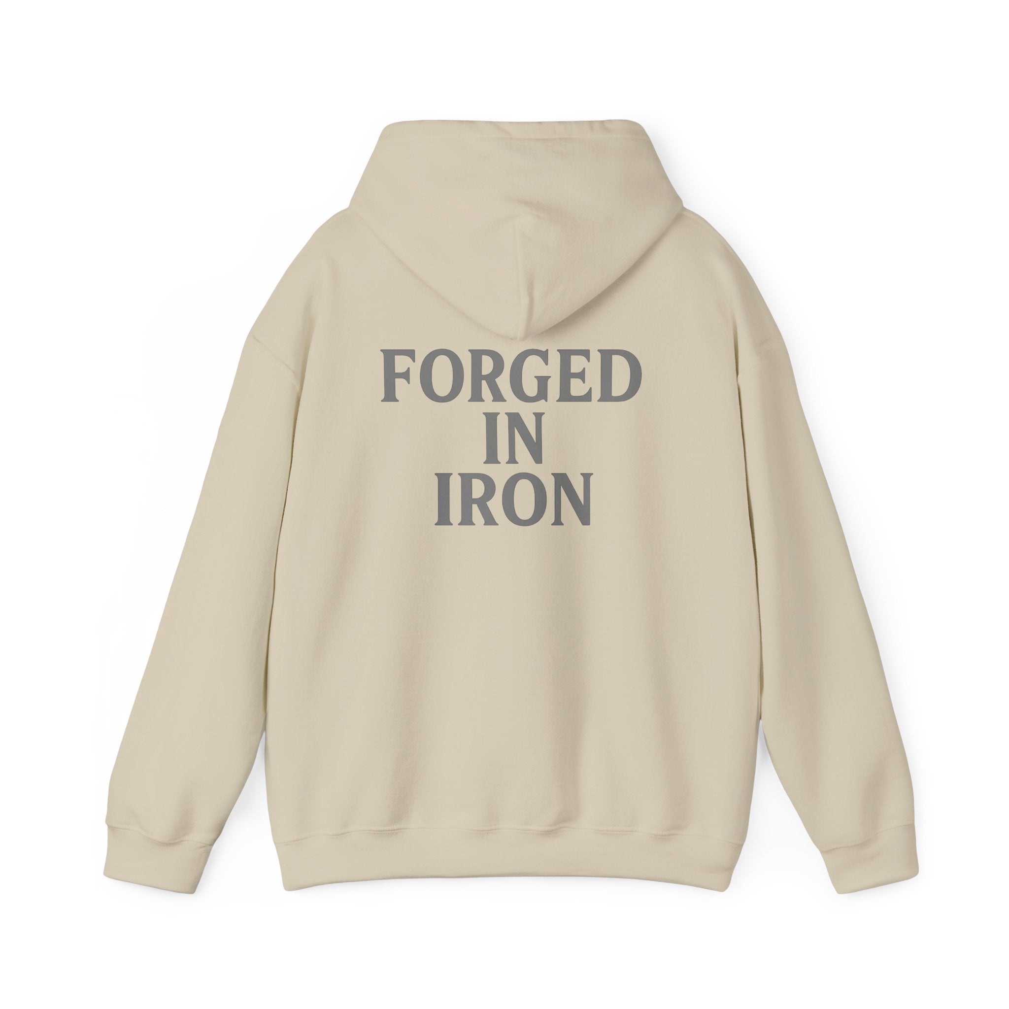 SILA IRON Fitness Hoodie