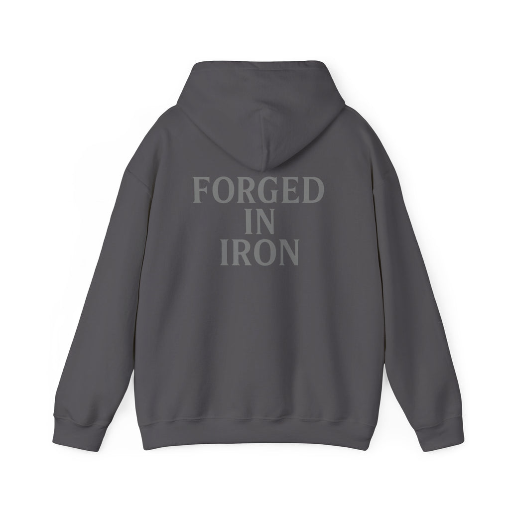 SILA IRON Fitness Hoodie