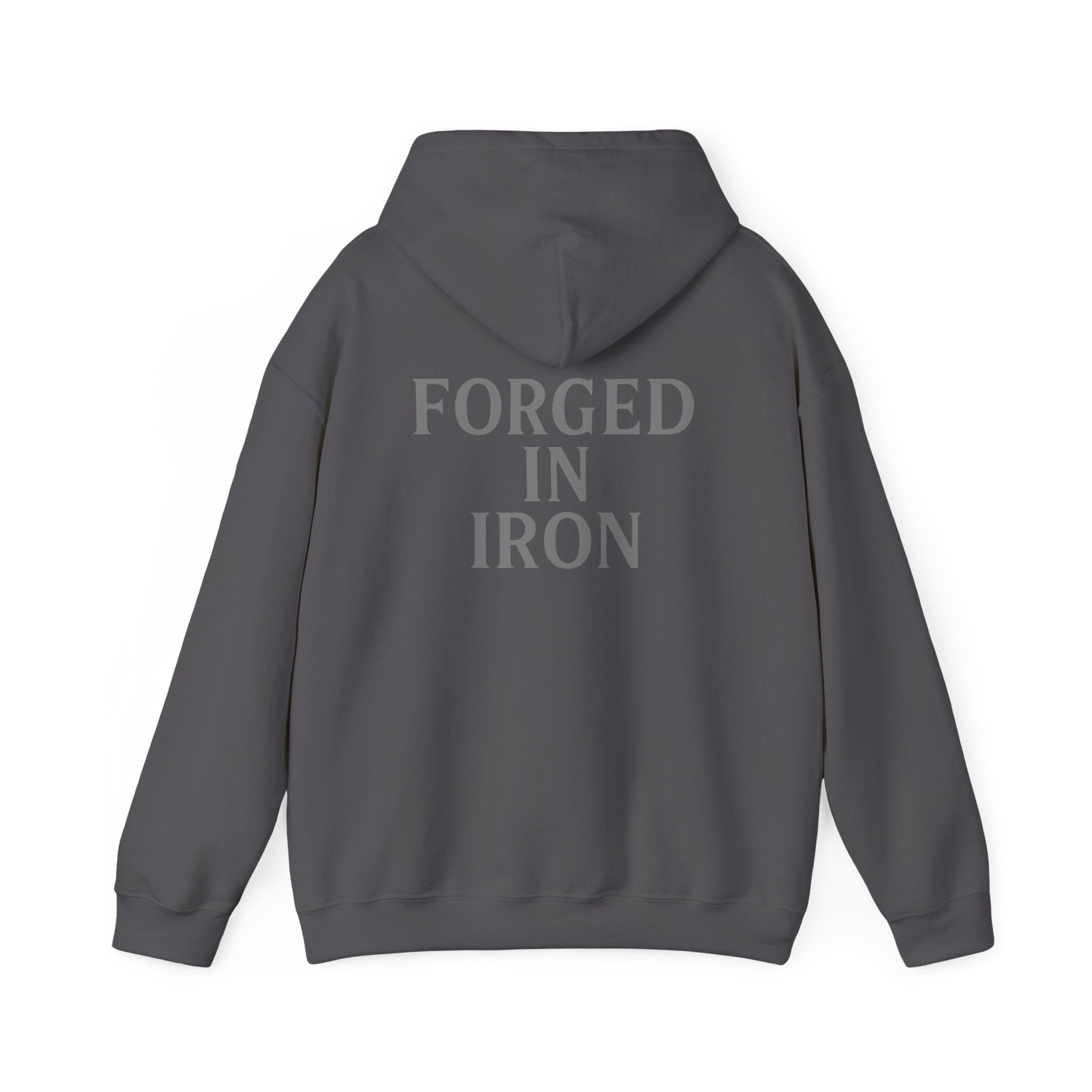 SILA IRON Fitness Hoodie