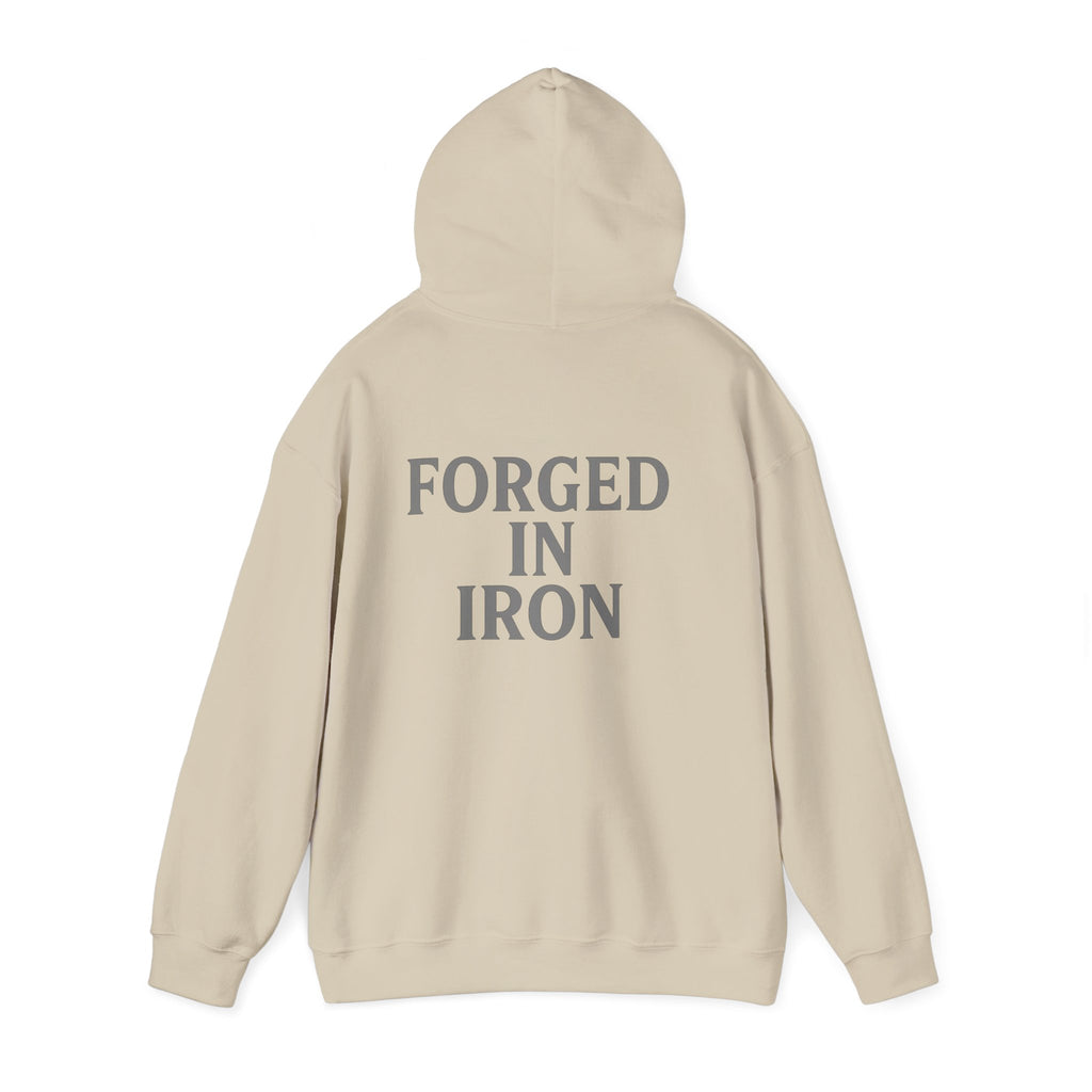 SILA IRON Fitness Hoodie
