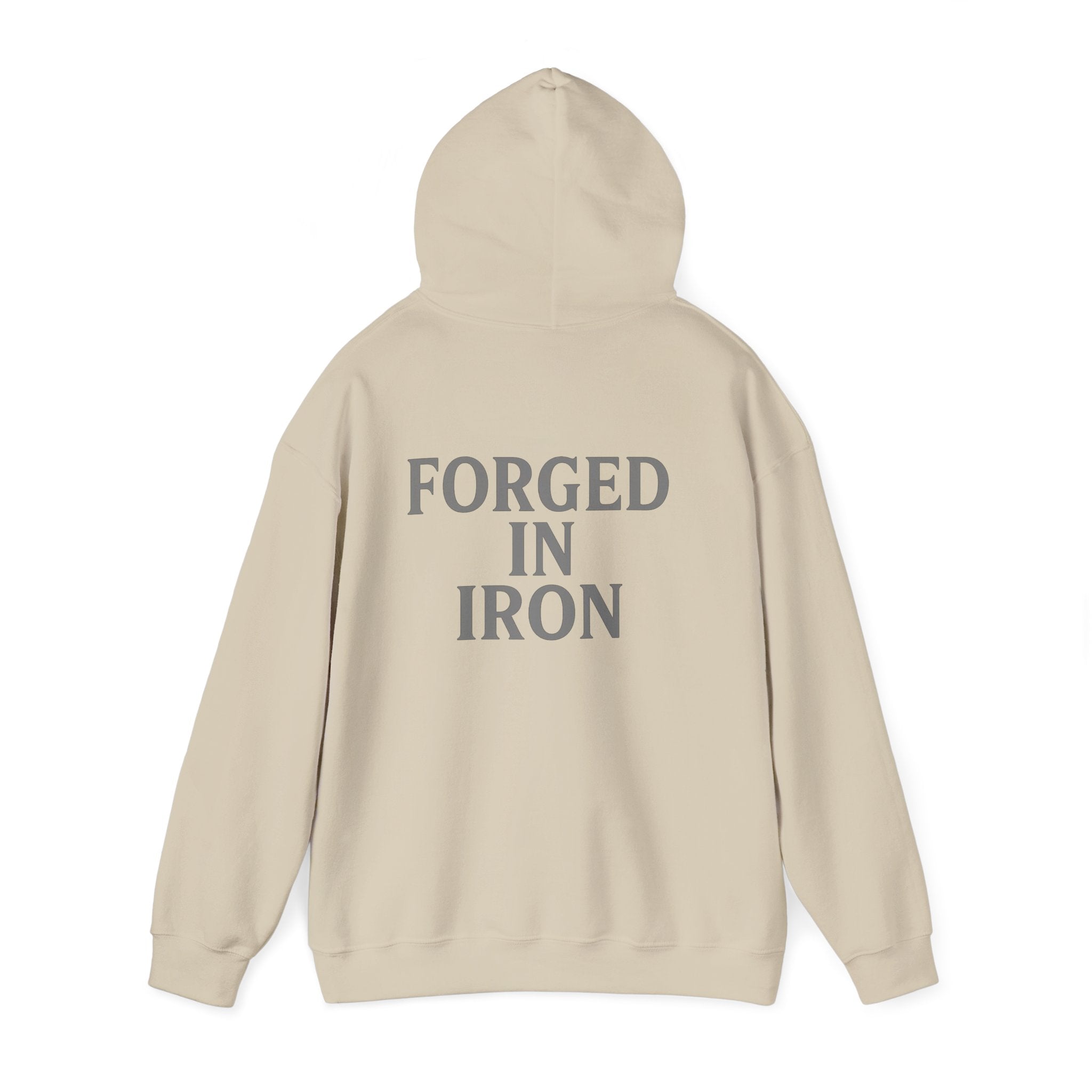 SILA IRON Fitness Hoodie