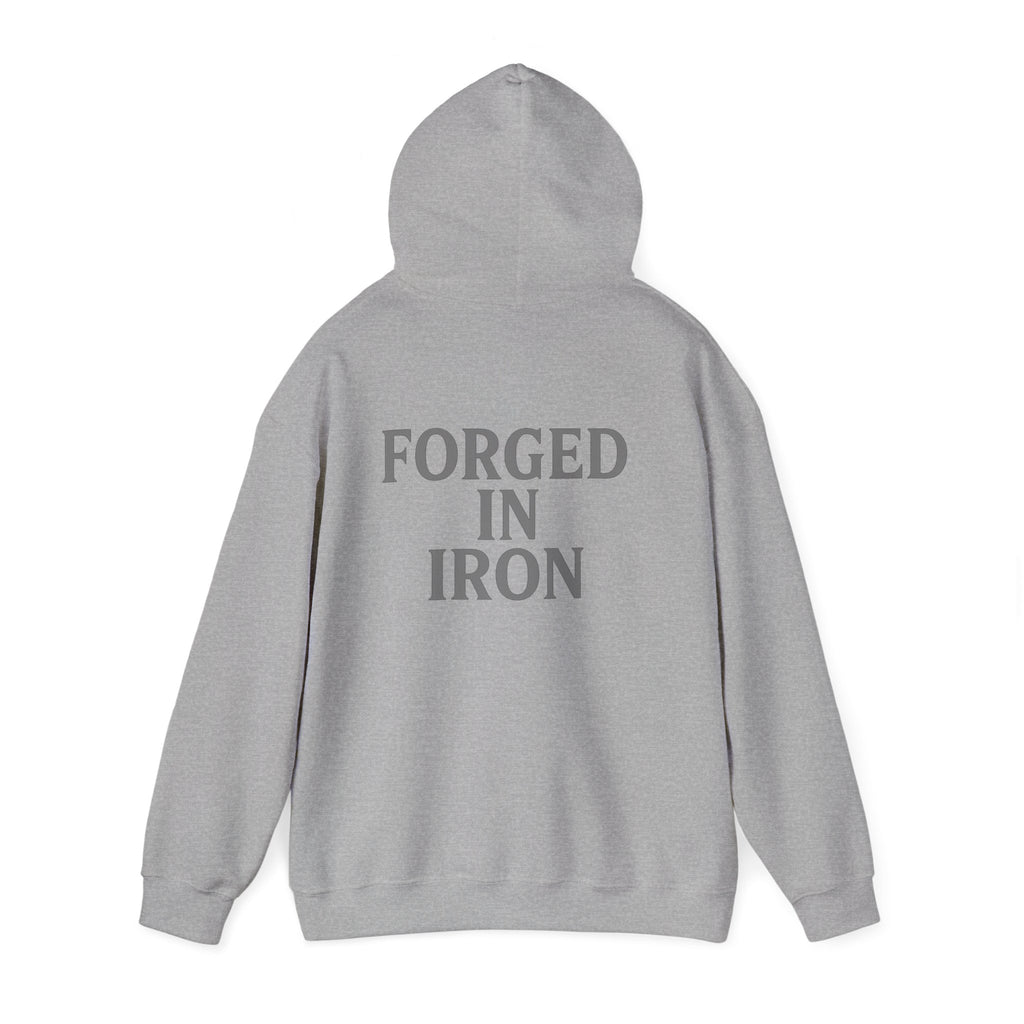 SILA IRON Fitness Hoodie