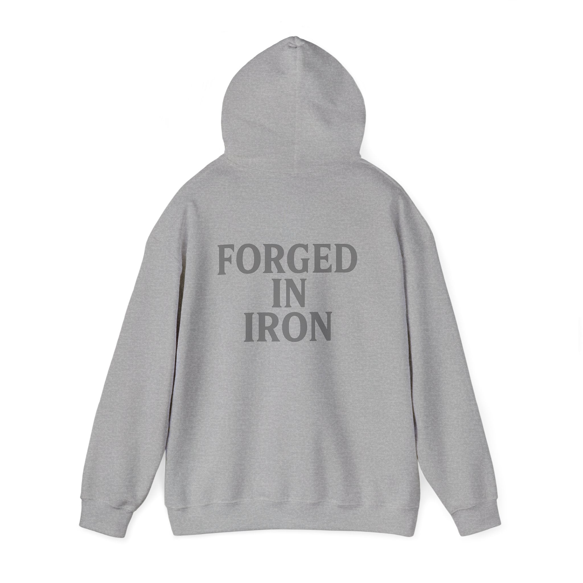 SILA IRON Fitness Hoodie