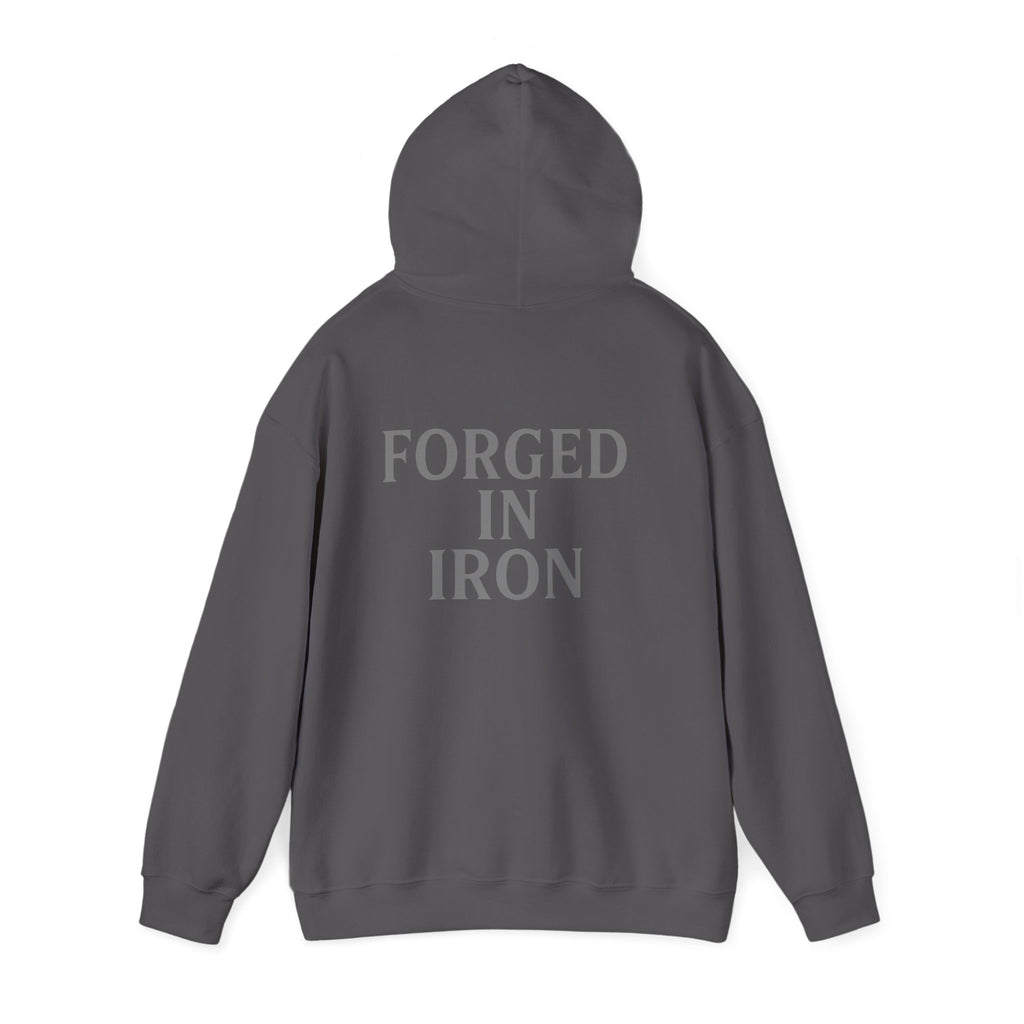 SILA IRON Fitness Hoodie