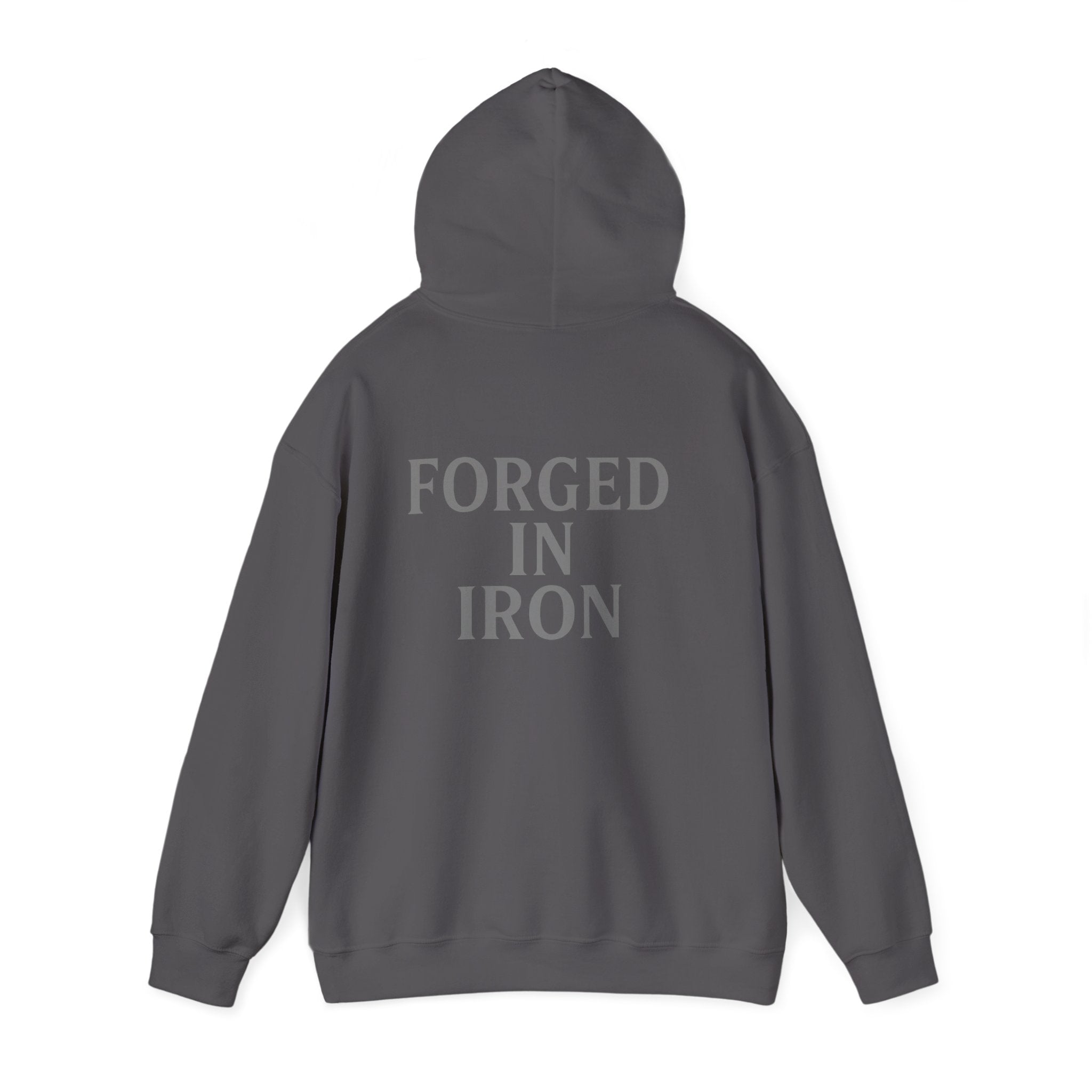 SILA IRON Fitness Hoodie