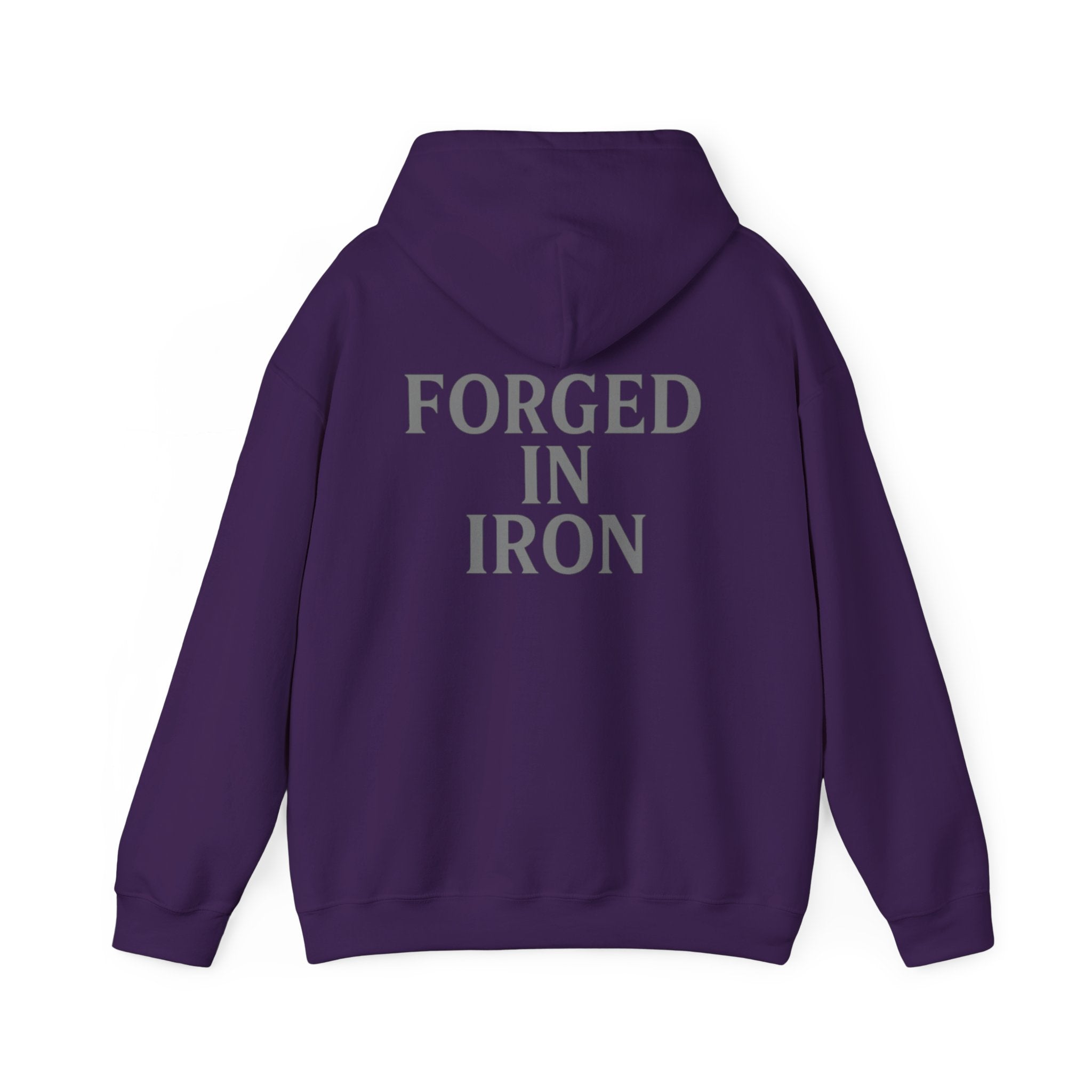 SILA IRON Fitness Hoodie