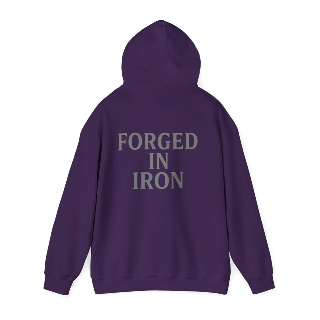 SILA IRON Fitness Hoodie